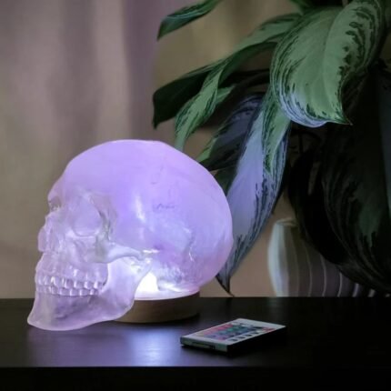 HUMAN SKULL TABLE LAMP