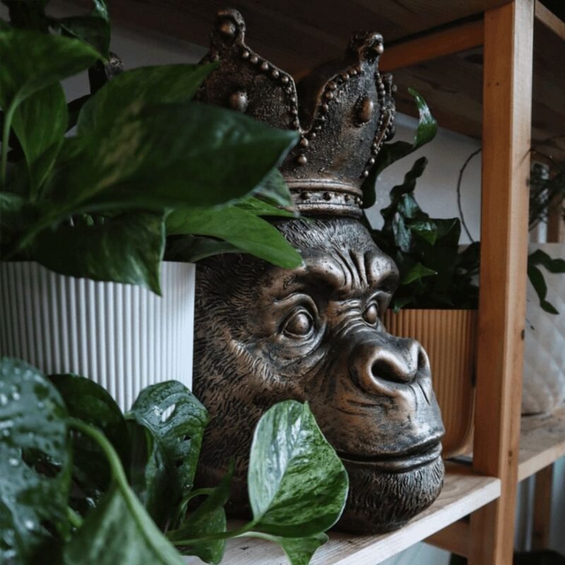 FLOWER POT MONKEY KONG GOLD