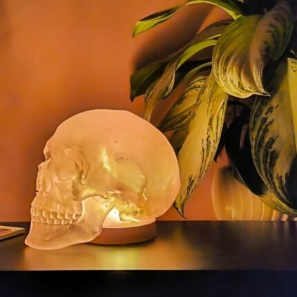 HUMAN SKULL TABLE LAMP