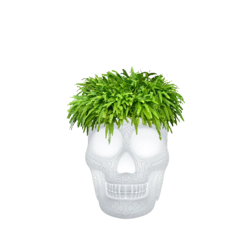 rgb lamps, skull planter, color changing lamp