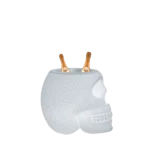 rgb lamp, translucent skull planter design, front view