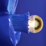 Wall Lamp Flower Blue, close-up detail of the blue resin finish