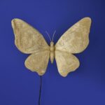 Wall Lamp Butterfly Gold, full front view of the sculptural wings