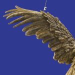 Ceiling Lamp Parrot Gold, close-up detail of the gold finish