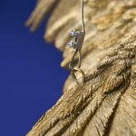 Ceiling Lamp Parrot Gold, close-up detail of the gold finish