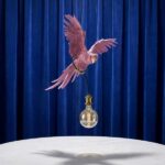 Ceiling Lamp Parrot Pink, shown mounted over a dining table