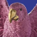 Ceiling Lamp Parrot Pink, shown mounted over a dining table