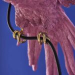 Ceiling Lamp Parrot Pink, shown mounted over a dining table