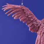 Ceiling Lamp Parrot Pink, close-up detail of the pink finish