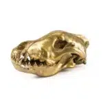 Gold wolf skull sculpture in cast aluminum