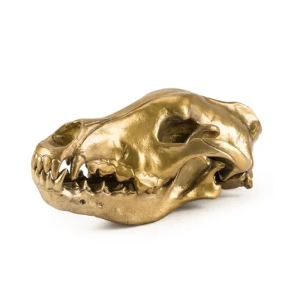 Gold wolf skull sculpture in cast aluminum
