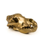 Side view of gold wolf skull sculpture