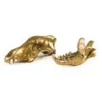 Gold wolf skull sculpture styled on a shelf