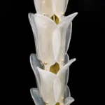 Detail of the hand-formed glass fronds