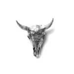 Gold bison skull decor, angled view