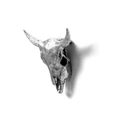 Skull Wall Decor – Gold Bison, Aluminium