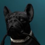 Table Lamp Bulldog Black, shown on a sideboard