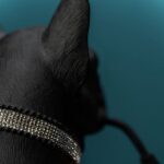 Table Lamp Bulldog Black, close-up detail of the black finish