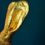 Table Lamp Rabbit Gold Meister, shown on a bedside table