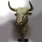 Close-up of the bull's expression