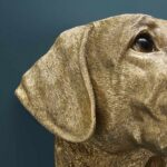 Wall Lamp Labrador Gold, shown mounted above a bedside table