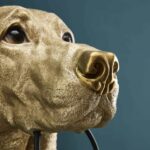 Wall Lamp Labrador Gold, shown mounted above a bedside table