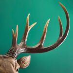 Wall Lamp Stag Brown, full front view of the stag head sculpture