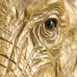 Wall Lamp Elephant Gold, illuminated view showing the visible bulb