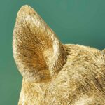 : Wall Lamp Wild Boar Gold, shown mounted in a living room