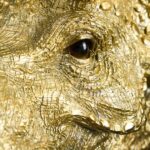 Wall Lamp Triceratops Gold, shown mounted in a living room