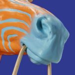 Wall Lamp Zebra Blue and Orange, close-up detail of the hand-painted finish