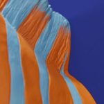 Wall Lamp Zebra Blue and Orange, close-up detail of the hand-painted finish