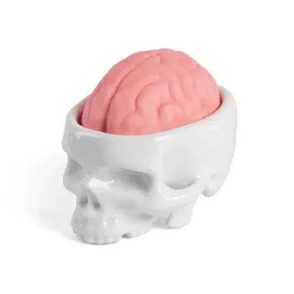Brain soap dish styled on a bathroom counter