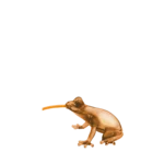 frog lamp, amber design, front view