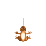Frog lamp illuminated, showing glow in belly